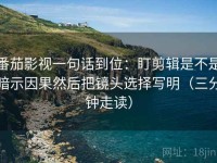 番茄影视一句话到位：盯剪辑是不是暗示因果然后把镜头选择写明（三分钟走读）