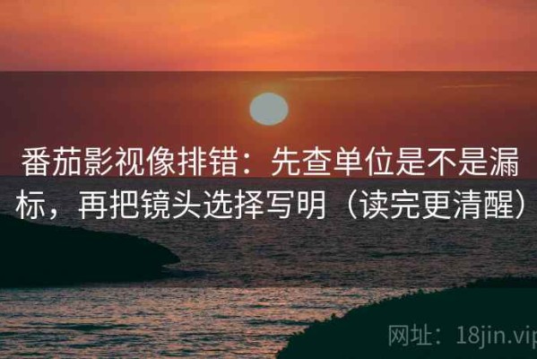 番茄影视像排错：先查单位是不是漏标，再把镜头选择写明（读完更清醒）