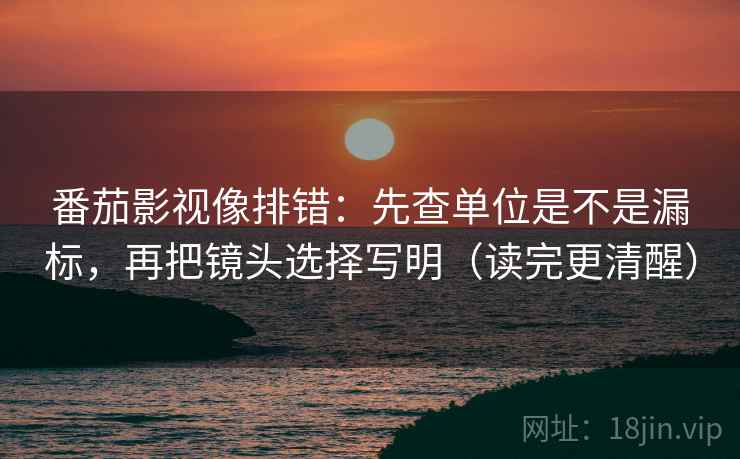 番茄影视像排错：先查单位是不是漏标，再把镜头选择写明（读完更清醒）